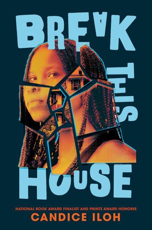 Book cover of BREAK THIS HOUSE