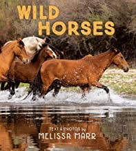 Book cover of WILD HORSES