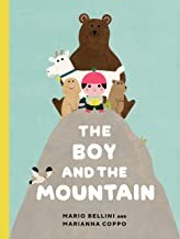 Book cover of BOY & THE MOUNTAIN