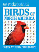 Book cover of POCKET GENIUS BIRDS OF NORTH AMER