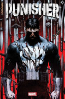 Book cover of PUNISHER 01