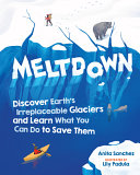 Book cover of MELTDOWN