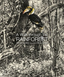 Book cover of WALK THROUGH THE RAIN FOREST