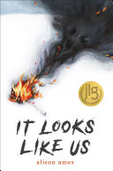 Book cover of IT LOOKS LIKE US