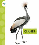 Book cover of CRANES