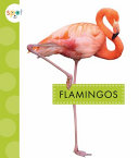 Book cover of FLAMINGOS