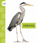 Book cover of HERONS