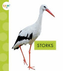 Book cover of STORKS