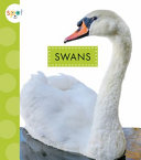 Book cover of SWANS