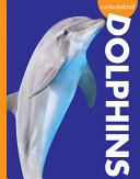 Book cover of CURIOUS ABOUT DOLPHINS