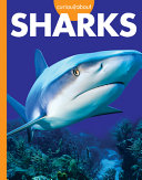 Book cover of CURIOUS ABOUT SHARKS