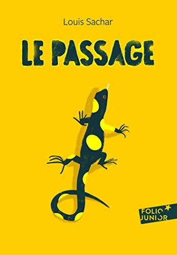 Book cover of PASSAGE - HOLES FR