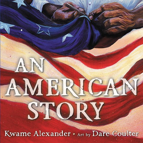 Book cover of AMER STORY