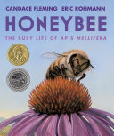 Book cover of HONEYBEE
