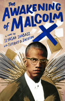 Book cover of AWAKENING OF MALCOLM X