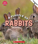 Book cover of COLONY OF RABBITS