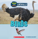 Book cover of BIG & SMALL - BIRDS