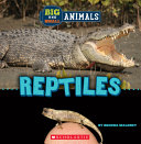 Book cover of BIG & SMALL - REPTILES
