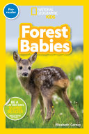 Book cover of NG READERS - FOREST BABIES