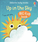 Book cover of BABY'S BIG FLAP BOOKS - UP IN THE SKY