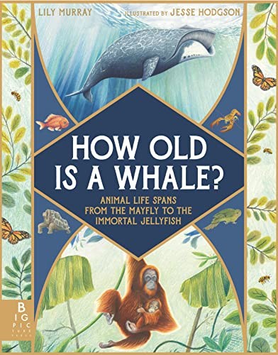 Book cover of HOW OLD IS A WHALE