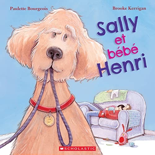 Book cover of SALLY ET BEBE HENRI