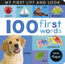 Book cover of 100 1ST WORDS