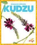Book cover of INVASIVE SPECIES - KUDZU