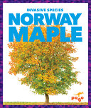 Book cover of INVASIVE SPECIES - NORWAY MAPLE
