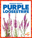 Book cover of INVASIVE SPECIES - PURPLE LOOSESTRIFE