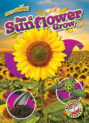 Book cover of SEE A SUNFLOWER GROW