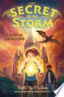 Book cover of SECRET OF THE STORM 02