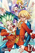 Book cover of DR STONE 17