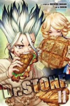 Book cover of DR STONE 11