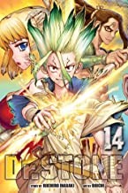 Book cover of DR STONE 14