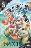 Book cover of DR STONE 08