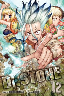 Book cover of DR STONE 12