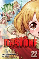 Book cover of DR STONE 22