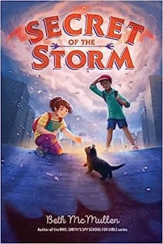 Book cover of SECRET OF THE STORM 01