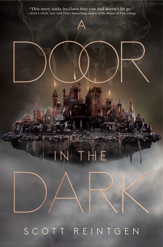 Book cover of DOOR IN THE DARK