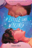 Book cover of LITTLE LIKE WAKING