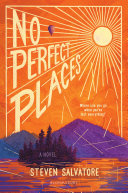 Book cover of NO PERFECT PLACES