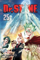 Book cover of DR STONE 25