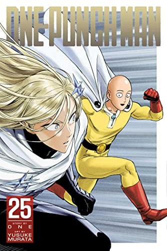 Book cover of 1-PUNCH MAN 25