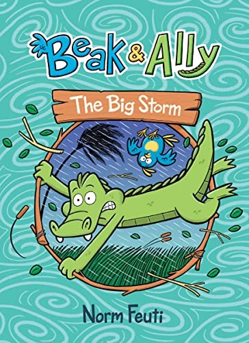 Book cover of BEAK & ALLY 03 THE BIG STORM