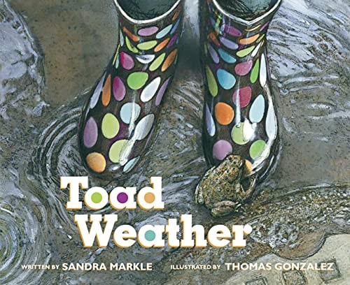 Book cover of TOAD WEATHER