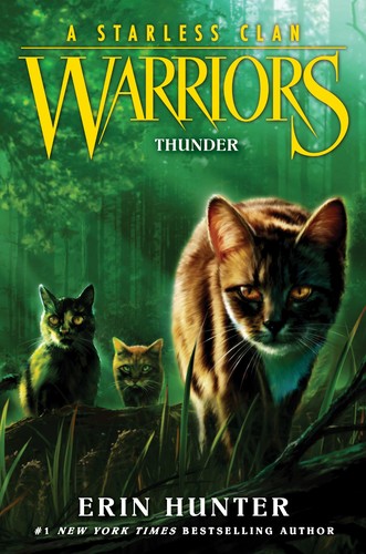 Book cover of WARRIORS STARLESS CLAN 04 THUNDER
