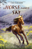 Book cover of HORSE NAMED SKY