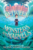 Book cover of BETWEEN MONSTERS & MARVELS