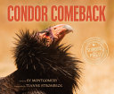Book cover of CONDOR COMEBACK